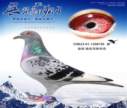 Ͽ˷ǲ730