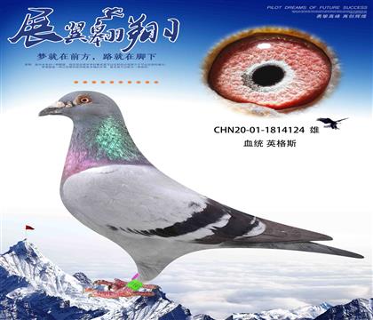 Ӵÿ׹Ǿ֮