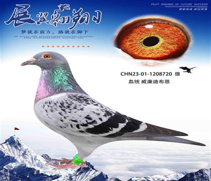 ϲīƶȫֵ720