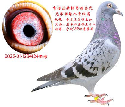 ŵǾкߴ