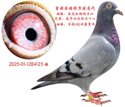 ŵǾкߴ