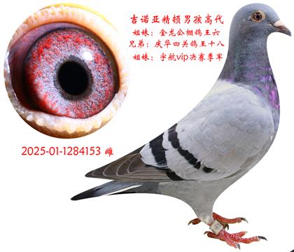 ŵǾкߴ
