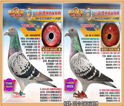 003ֱ003Ů.5526ھֱŮ