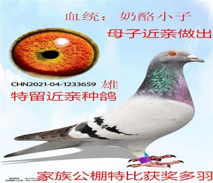 ĸӽ׻Ѫ