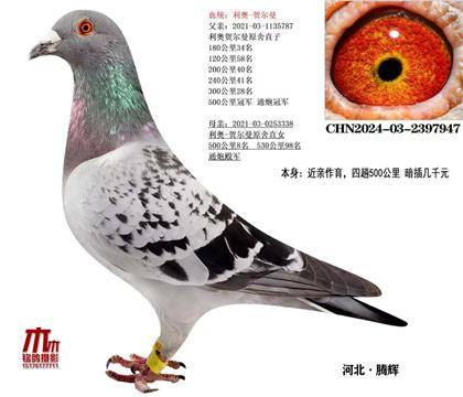 ھֱӣ6)