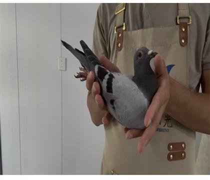 ϺӴرʵս