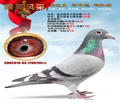 ոֱ