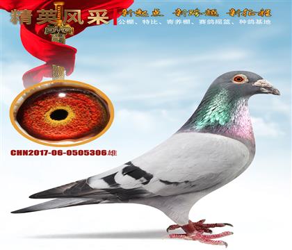 Ĺۺ182 13