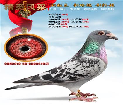 Ĺظ19ղɭѪϵ