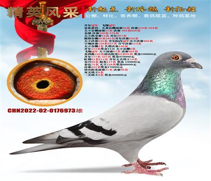 ھ塢