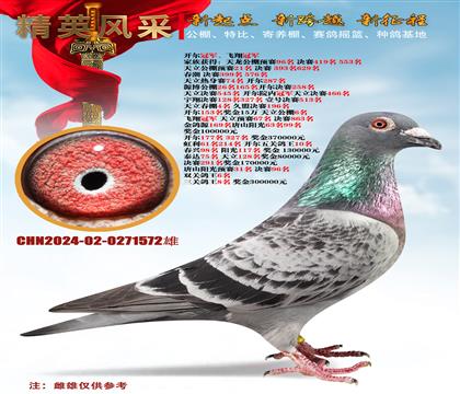 ھ塢ʵս