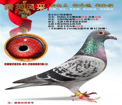 ҵǧѪϵ޵С