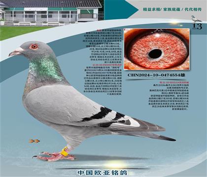 ԸֺšxǹŽ314