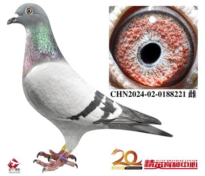 Ҵ롰жֱŮ