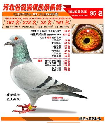 50023