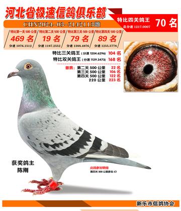 50019