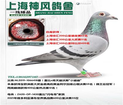 ɼ룡άھӴ