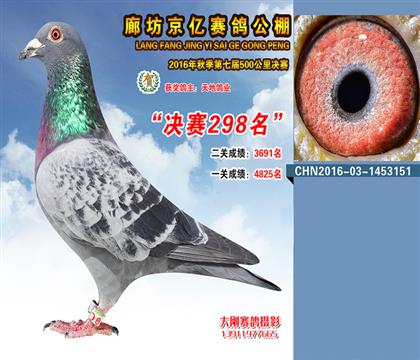 卡萨 京亿公棚298名