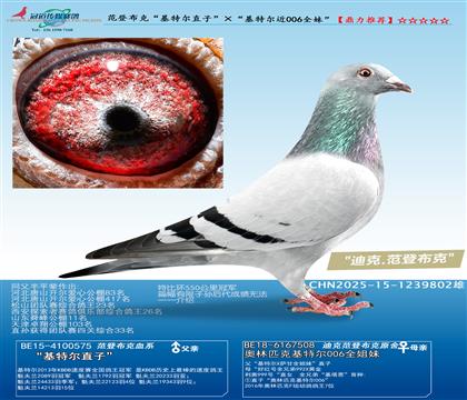 范登布克“基特尔直子”ד基特尔006全妹”