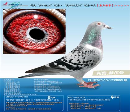 利奥“梦幻配对”近亲ד奥林匹克03”近亲孙女