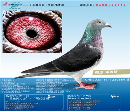 公棚专家---哈迪.克鲁格 超级近亲