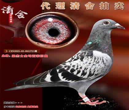 桑杰士金母近亲回血