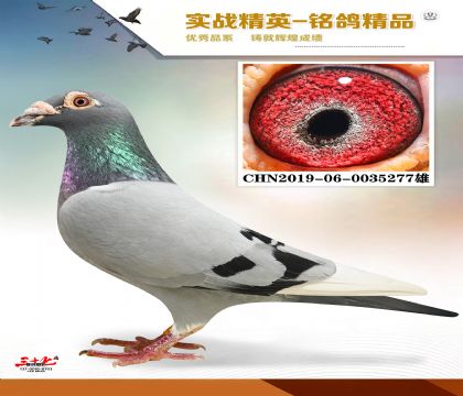 ɣʿ׻Ѫ