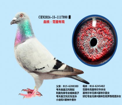考夫曼X范登布克(精品推荐)