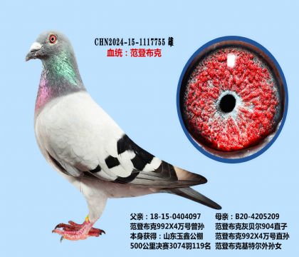 范登布克992X4万号(鹰眼)