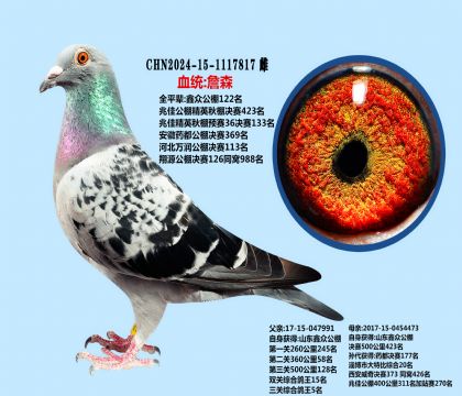 本舍黄金配对直女(精品推荐)
