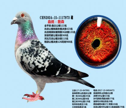 本舍黄金配对直子