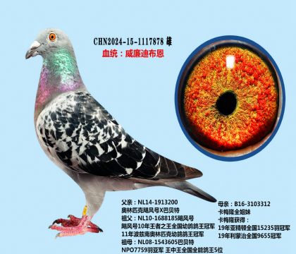 威廉迪布恩飓风号X卡梅隆