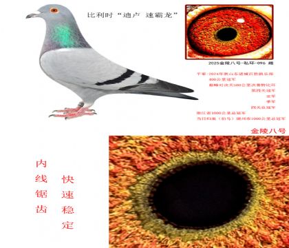 1ʱ¬ ٰ