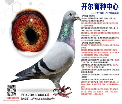 衿