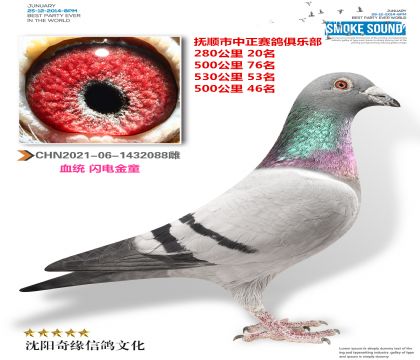 ֲͯ