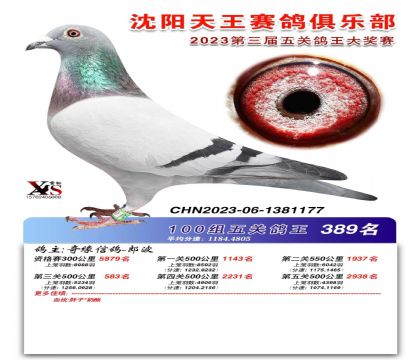 ԵӵĴ񽱸룩