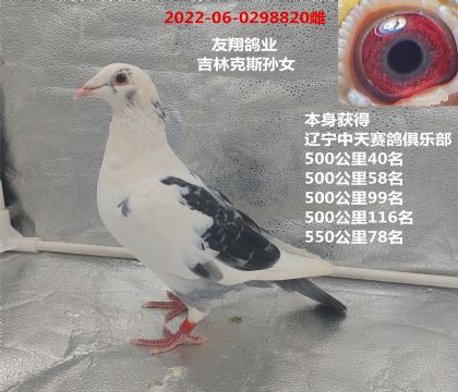 ĸೡ񽱣Ů