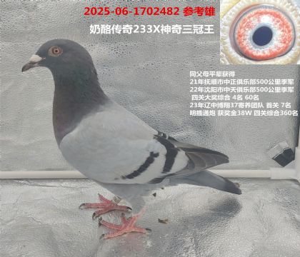 485Xͬǰʮ