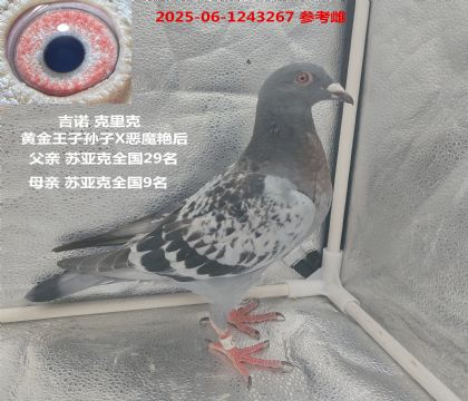 ŵ  ǿȫ9