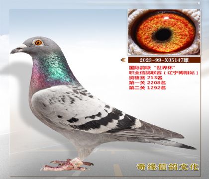  ϣF16ս