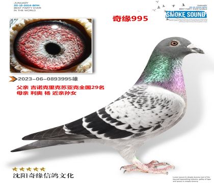 ŵǿ29XŮ