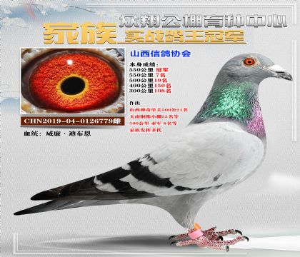 ϲھ779