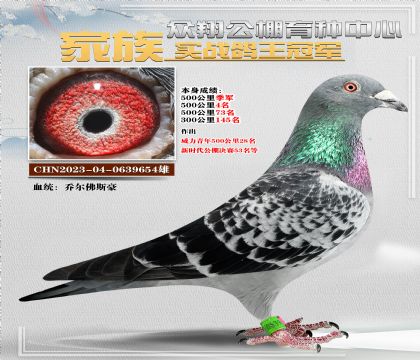 ༾654