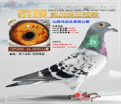 ɳĮ籩141