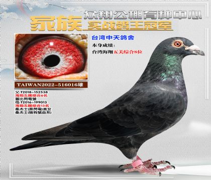 TAIɣʿ016