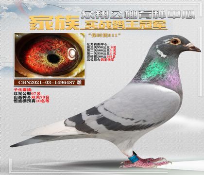 ʱݼ487