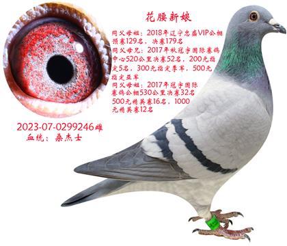 ĸƬ