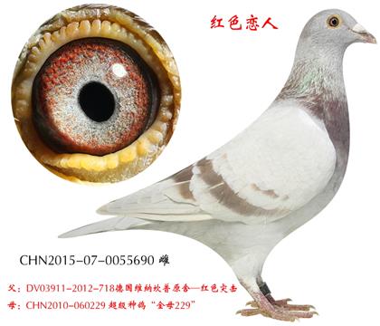 ĸƬ