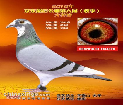 빫500391  	