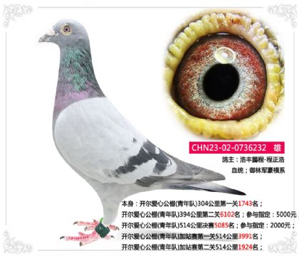 Ĺ()վڶ5141924  